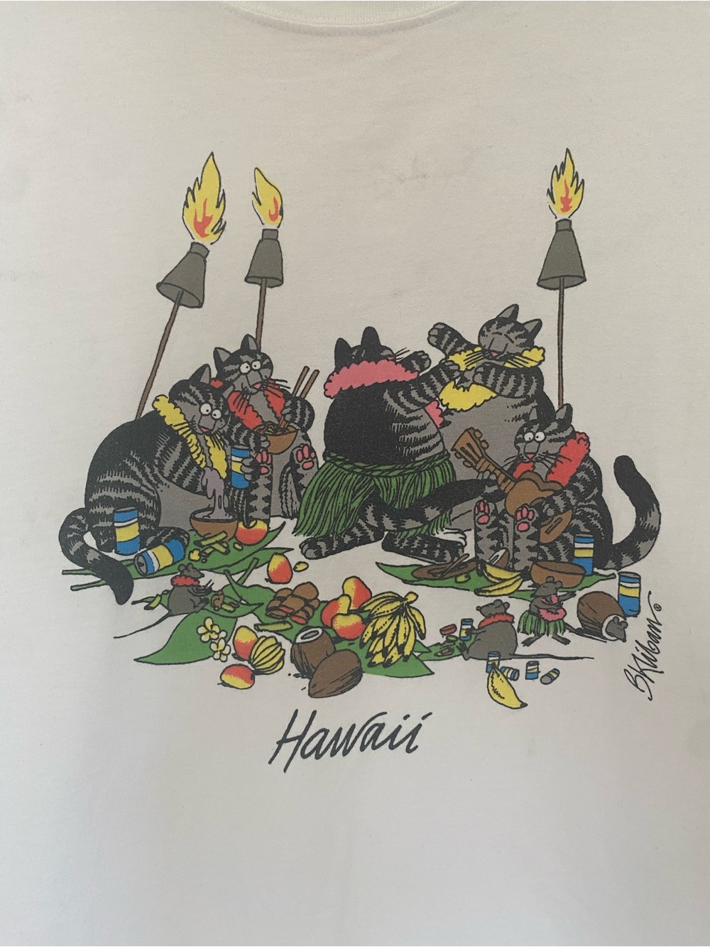 1980s Classic B. Kilban t-shirt from Crazy Shirts Hawaii - Picture 2 of 7